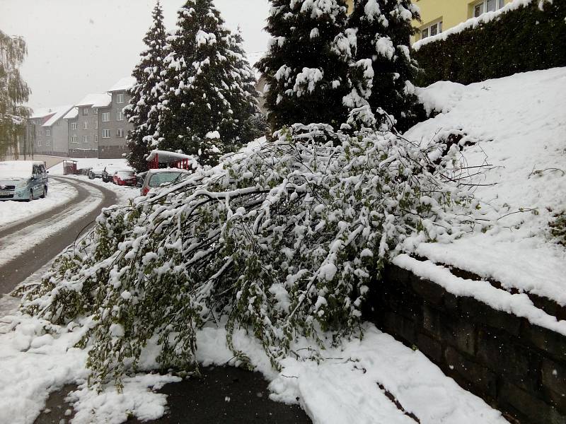 Husté noční a ranní sněžení způsobilo na Prachaticku místa kalamitní stav. Těžký sníh lámal větvě i stromy. Následné výpadky proudu působily problémy v obchodech i na úřadech.