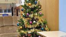 Vánoční besídka, kterou pořádal Spolek vůle pro děti z Vimperska a okolí.