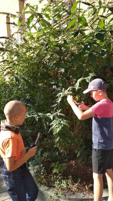 Pravidelné návštěvy Domova Matky Vojtěchy se staly již nedílnou součástí výuky Montessori při ZŠ Národní v Prachaticích.