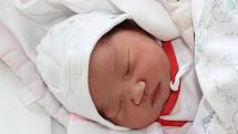 V Hracholuskách bude se svými rodiči Tam Nguyen Thi Tank a Ha Minh Phuc jejich prvorozená dcera My Ha. Holčička se narodila v prachatické porodnici v neděli 22. října osm minut po desáté večer. Vážila 3 250 g.