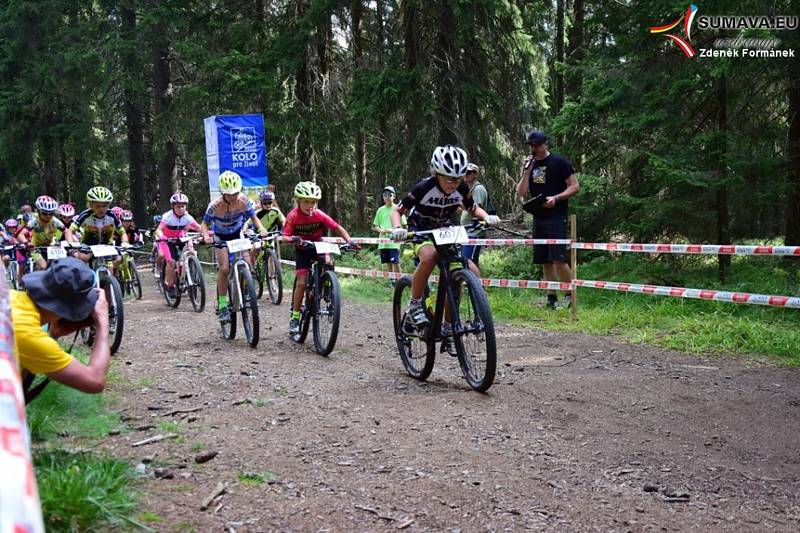 Bikeři zdolávali 21. Šumavský MTB maraton. Foto: Zdeněk Formánek