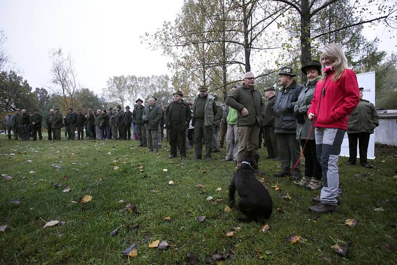 Na Netolicku se v sobotu uskutečnil 52. ročník Mistrovství Šumavy.