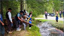 V sobotu 14. září se letos již osmé plavení dříví konalo v Rakousku u potoku Schrollenbach.