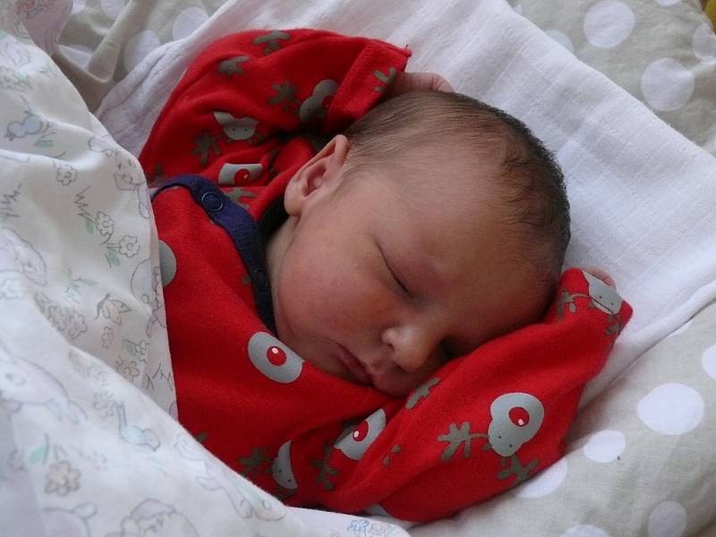 Dominika Borovková se narodila v prachatické porodnici v pondělí 9. ledna v 16.15 hodin. Vážila 3350 gramů. Rodiče Lucie a Martin jsou ze Stožce. Na malou Dominiku se těší sourozenci Barča (15 let), Nikča (12 let) a Mareček (3 roky).