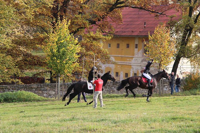 Hubertova jízda 2019 na zámku Skalice v Bohumilicích. Foto: Deník/Nikola Beranová