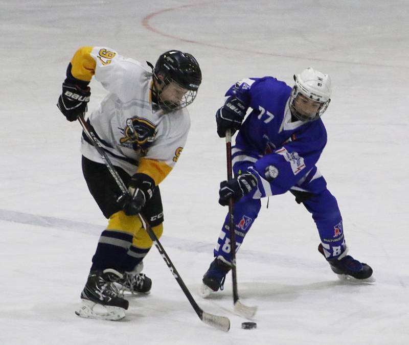 Mladší žáci HC Vimperk vyhráli v Jindřichově Hradci 8:1.