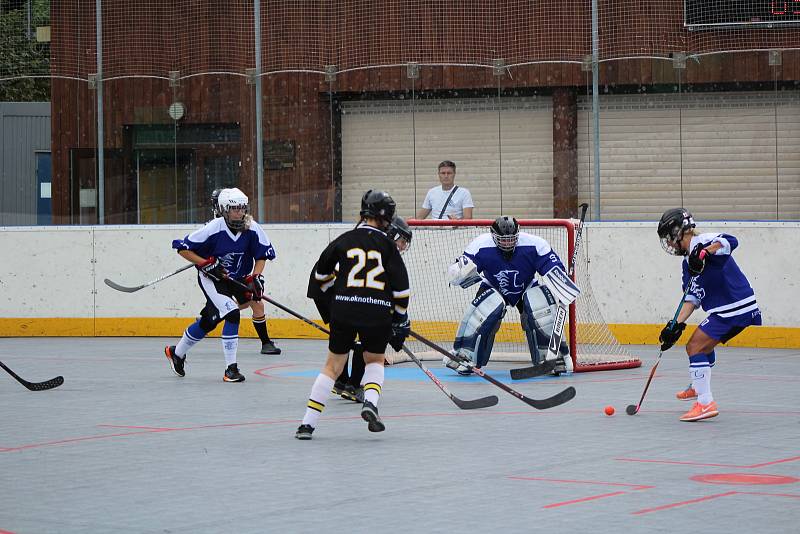 Hokejbalová liga žen - turnaj v Prachaticích.