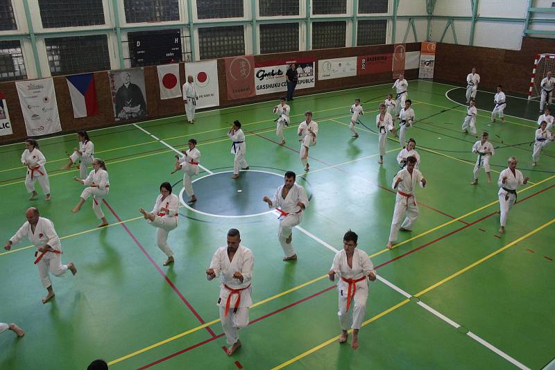 Prachatice hostí 14. ročník tréninkového kempu karatistů Gasshuku Czech 2019.