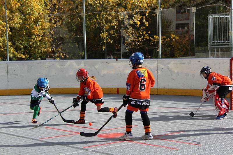 Prachatická Highlanders aréna hostila turnaj mladších a starších přípravek z jihu Čech.