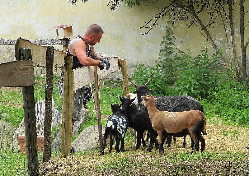 Jedna z nejvýše položených vesniček v jižních Čechách s 97 stálými obyvateli je doslova balzám na duši. Lze navštívit okolní lesy, vystoupat na vrchol Boubínského pralesa a objevovat i další krásy.