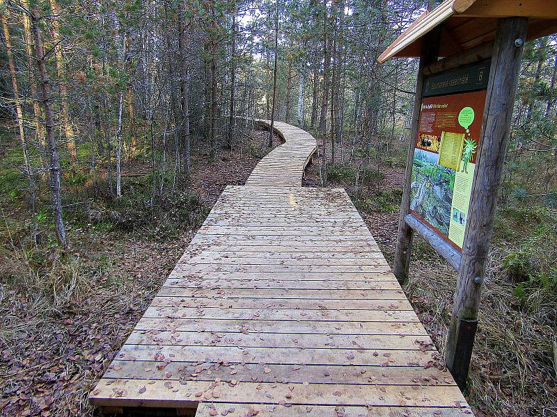 Národní park Šumava dokončil obnovu povalového chodníku na Soumarském rašeliništi u Volar. Naučná stezka turisty zavede k vyhlídkové věži a zpět k parkovišti lze projít okruh kolem řeky Vltavy.