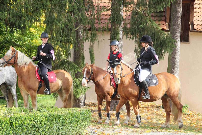 Hubertova jízda 2019 na zámku Skalice v Bohumilicích. Foto: Deník/Nikola Beranová