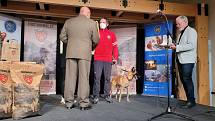 Fenka Enigma psovoda Ondřeje Zemana ze šumavské Horské služby dnes získala ocenění Statečné psí srdce v kategorii Záchranný čin služebních a záchranářských psů.