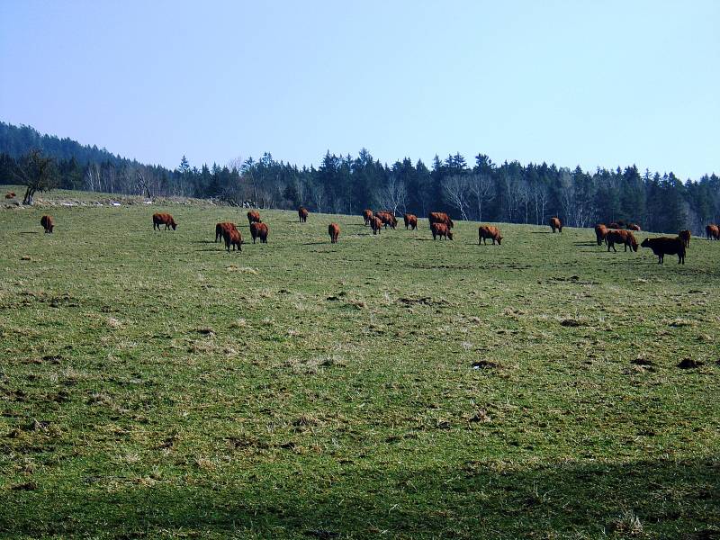 Šumava.