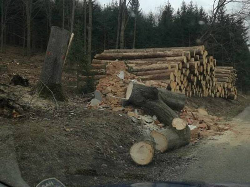 Poničená kaplička na křížové cestě u Lhenic.