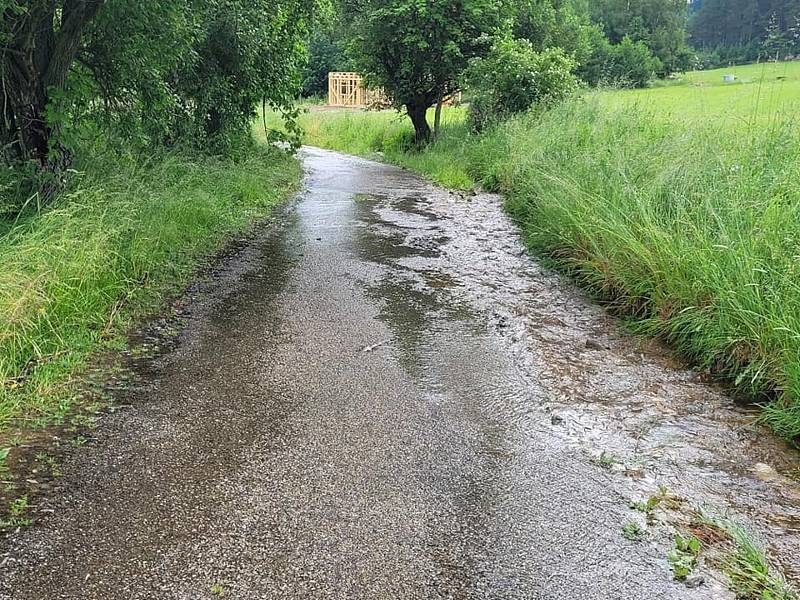 Noční průtrž mračen podemlela kořeny stromů, které spadly na sousední objekt.