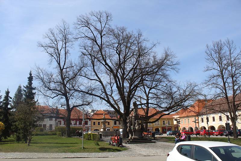 Netolice na Prachaticku v sobotu 24. dubna.