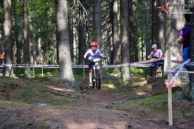 Bikeři zdolávali 21. Šumavský MTB maraton. Foto: Zdeněk Formánek