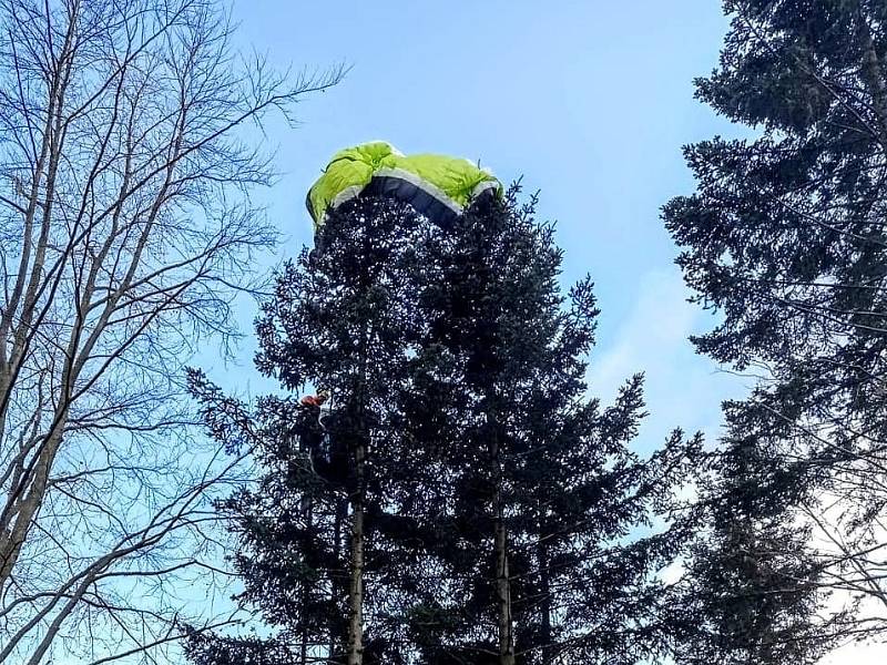 Paraglidista nedobrovolně přistál na stromě.