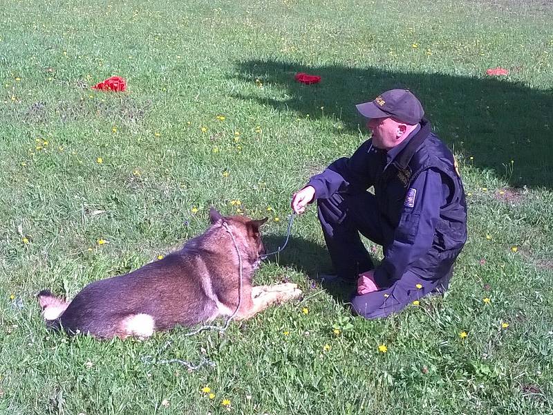 Policejní psovod prap. Jaroslav Čejka z Územního odboru Policie ČR Prachatice se umístil na druhém místě a stal se tak vicemistrem ve vyhledávání drog. Foto: Policie ČR