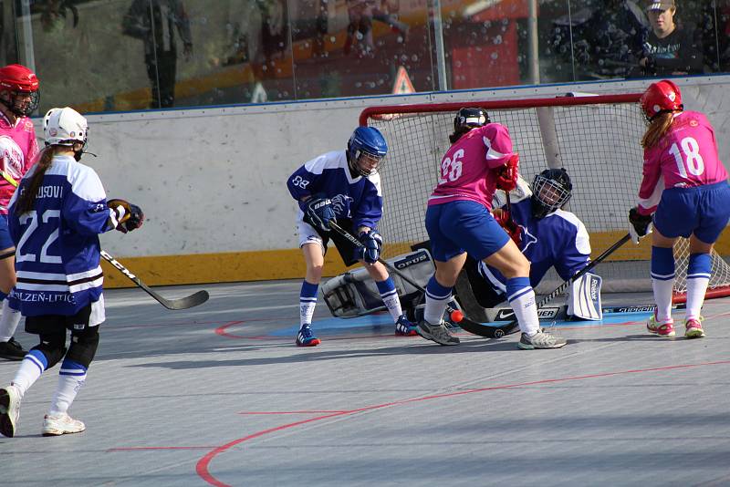 Hokejbalová liga žen - turnaj v Prachaticích.