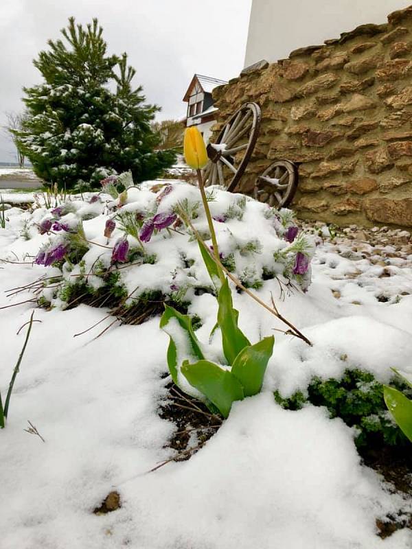 Ranní probuzení na Kvildě ve středu 15. května.