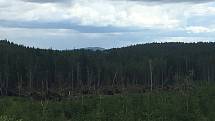 Páteční bouřka za sebou nechala obrovské škody na území Národního parku Šumava. Turisté se tak na některá místa nepodívají.