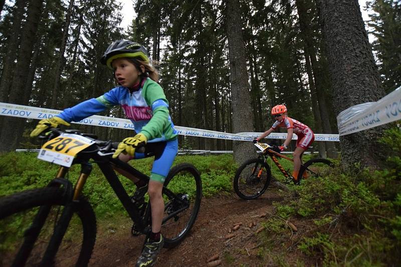 Nejmenší bikeři zahájili seriál Jihočeského poháru MTB.