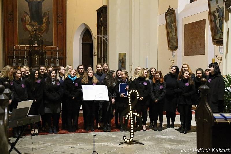 Prachatická Fontána zpívala, Marcela Haspeklová četla úryvky z knihy Šumava domovem.