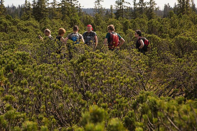 Do Národního parku Šumava letos přijelo lidí méně, ale program Průvodce divočinou trhal rekordy.