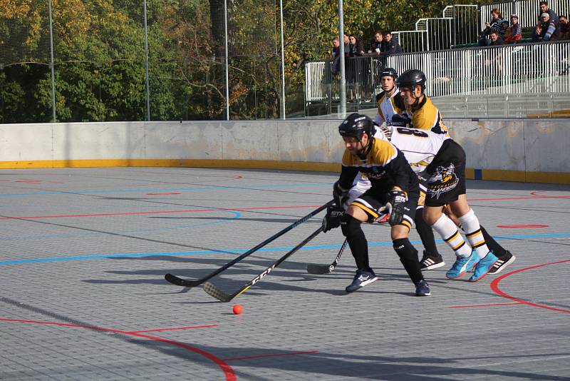 Hokejbalová první liga. HBC Prachatice - Suchdol nad Lužnicí 0:1.