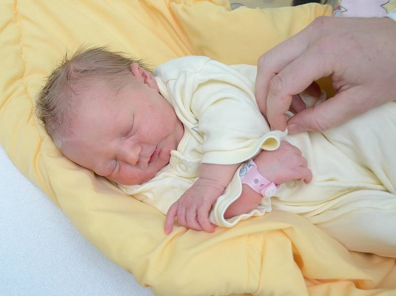 V Onšovicích bude vyrůstat Rozálie Anna Květoňová. Narodila se ve strakonické porodnici v sobotu 16. září ve 23.07 hodin. Vážila 2 900 gramů.
