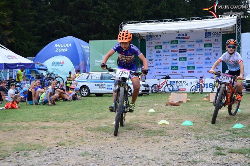 Bikeři zdolávali 21. Šumavský MTB maraton. Foto: Zdeněk Formánek