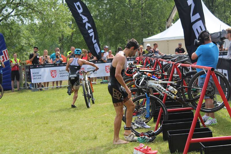 Mužský Short track přinesl skvělý závod s řadou dramatických soubojů na trati.