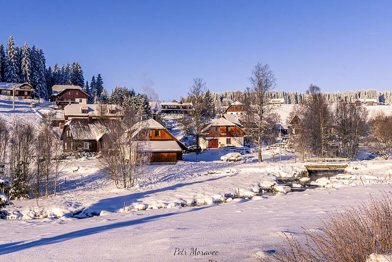 Šumava v lednu 2021