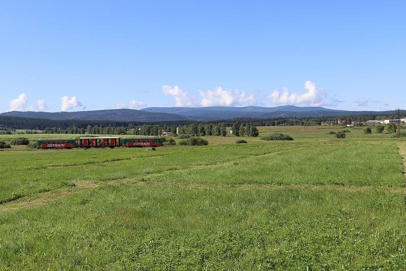 Volarský sekáč 2021 ukázal, jak jsou zdatní muži, ženy a děti při kosení trávy.