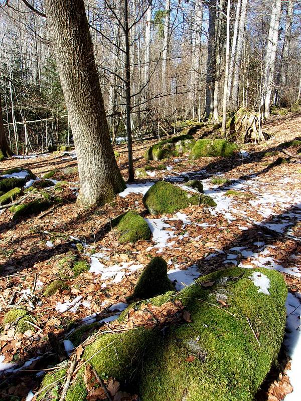 Šumava.