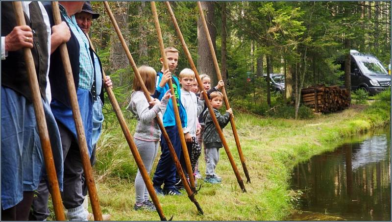 V sobotu 14. září se letos již osmé plavení dříví konalo v Rakousku u potoku Schrollenbach.