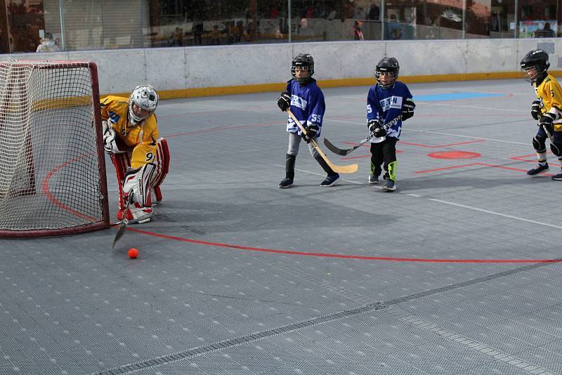 Prachatická Highlanders aréna hostila turnaj mladších a starších přípravek z jihu Čech.