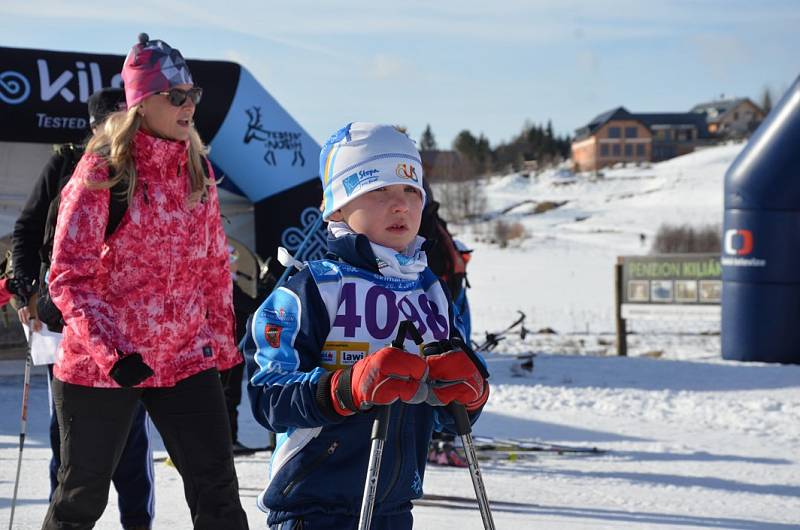 První díl 32. ročníku Šumavského Skimaratonu absolvovali lyžaři klasici mezi Modravou a Kvildou. Běželo se volnou technikou, zítra je na programu klasika.Foto: Zdeněk Formánek