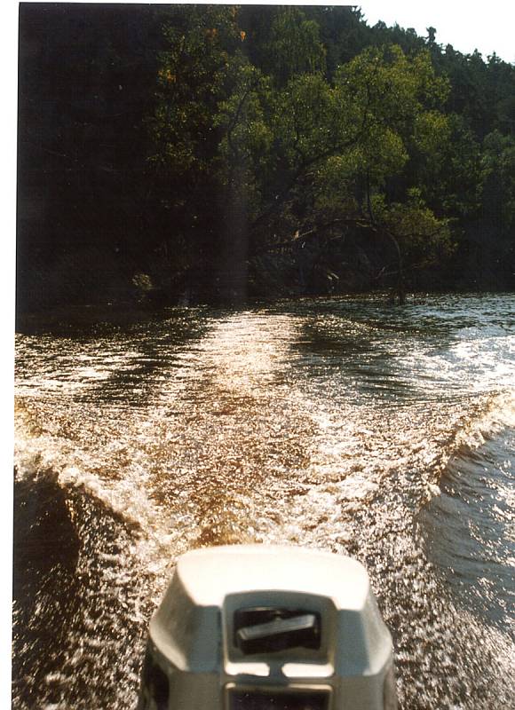 Vyprošťování stromů z vody na Husinecké přehradě. Foto zapůjčil z archivu hrázný Bedřich Křivánek