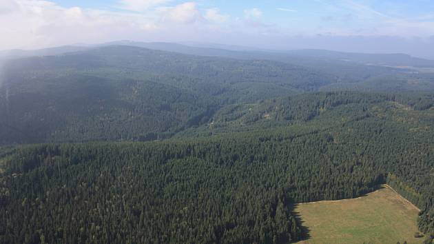 Lesní porosty, letecký snímek. Ilustrační foto