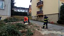 Ve středu dopoledne pokáceli prachatičtí profesionální hasiči rozdvojený smrk mezi bytovkami v ulici Na Sadech. Strom rostl v těsné blízkosti jedné z bytovek.