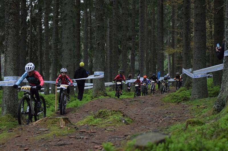 Nejmenší bikeři zahájili seriál Jihočeského poháru MTB.