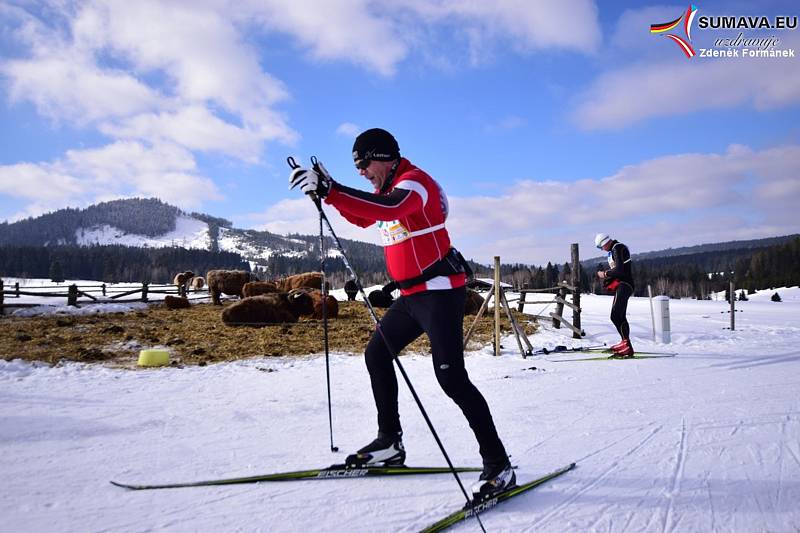 Šumava o víkendu žila dalším ročníkem Šumavského skimaratonu.