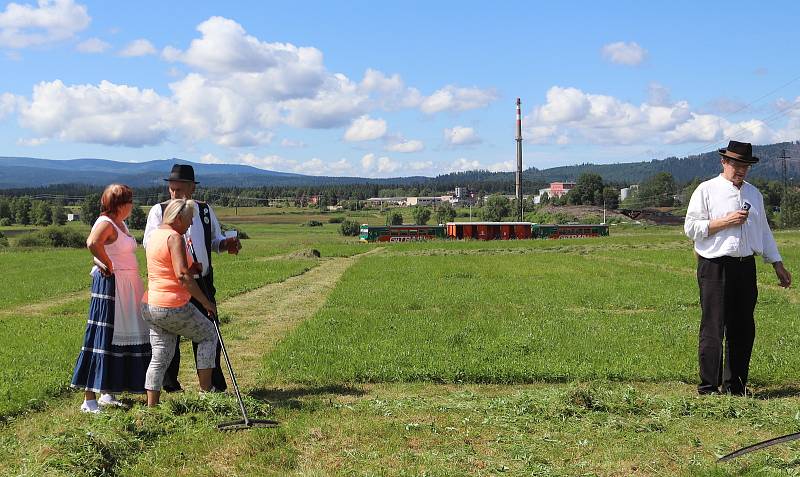 Volarský sekáč 2021 ukázal, jak jsou zdatní muži, ženy a děti při kosení trávy.