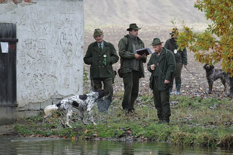 Na Netolicku se v sobotu uskutečnil 52. ročník Mistrovství Šumavy.