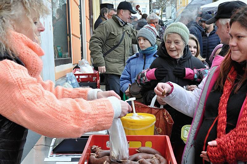 Masopustní průvod se prošel Vimperkem.