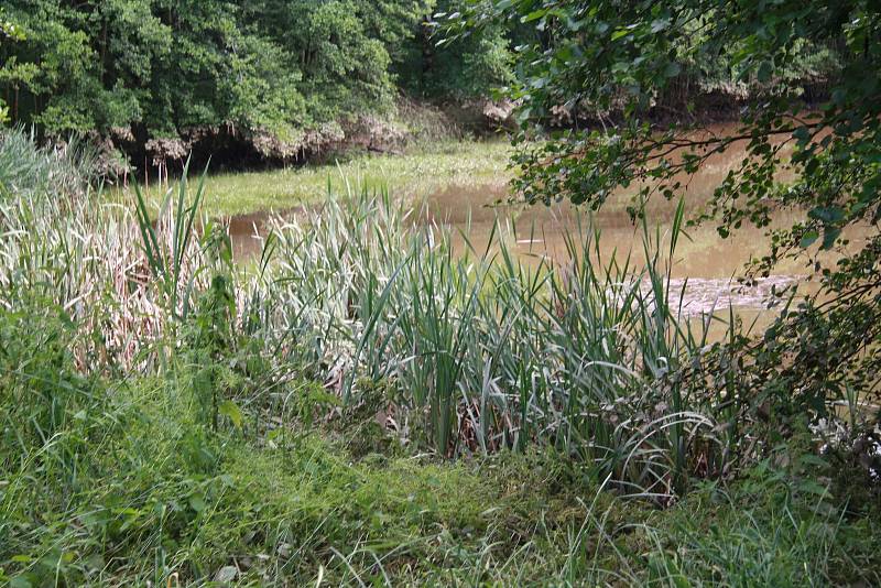 Tři domy, ve kterých počítají majitelé škody,  vytopené sklepy, podmáčené trávníky a nepořádek. To všechno za sebou nechala voda, která protekla obcí Chlumany na Prachaticku v sobotu 22. června.