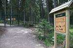 Návštěvnické centrum Správy NP Šumava v Kvildě dává možnost návštěvníkům nahlédnout do života jelena a rysa. Ilustrační foto
